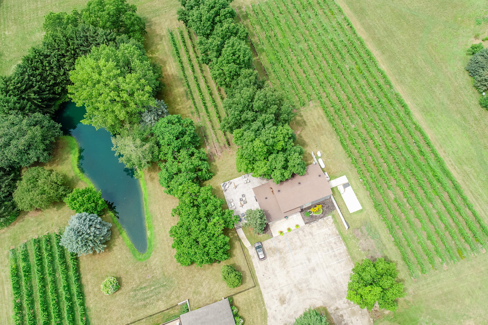 10062 Burgoyne Road Berrien Springs, MI 49103 - Photo 31 of 34 Burgoyne-208