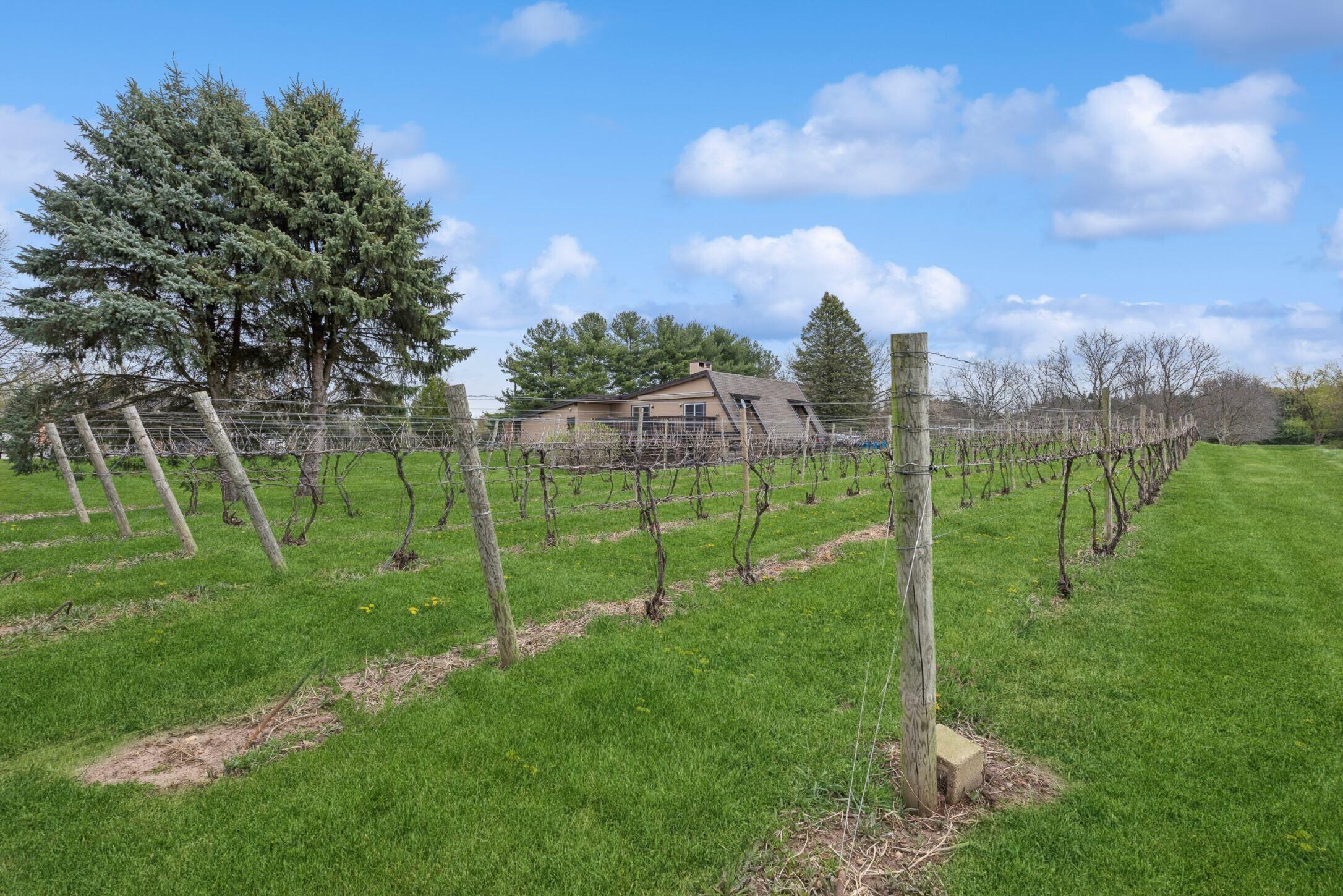 10062 Burgoyne Road Berrien Springs, MI 49103 - Photo 6 of 34 Burg 3