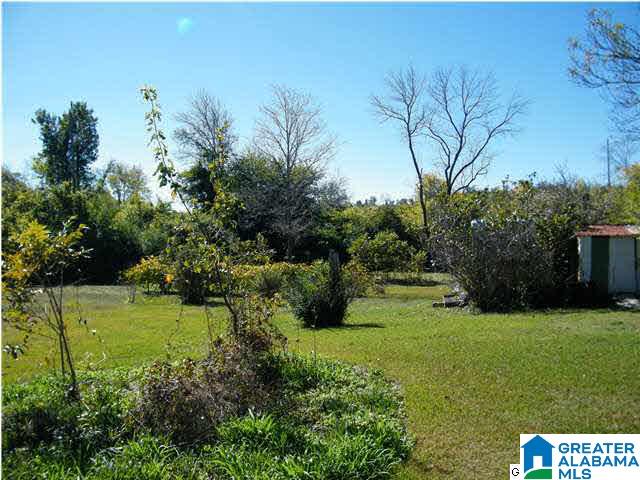 424 Black Creek Road Birmingham, AL 35217 - Photo 17 of 17