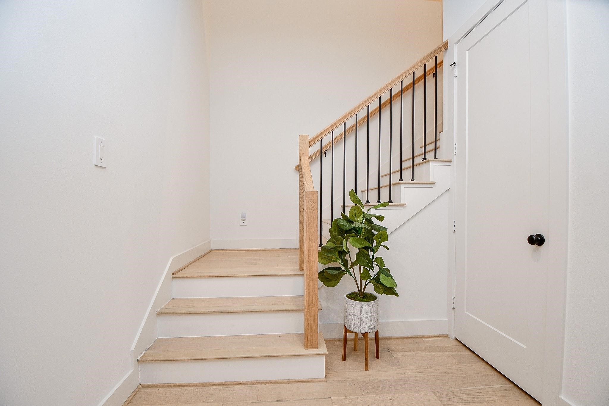 4403 Greeley Street Houston, TX 77006 - Photo 5 of 28 a view of staircase with potted plants
