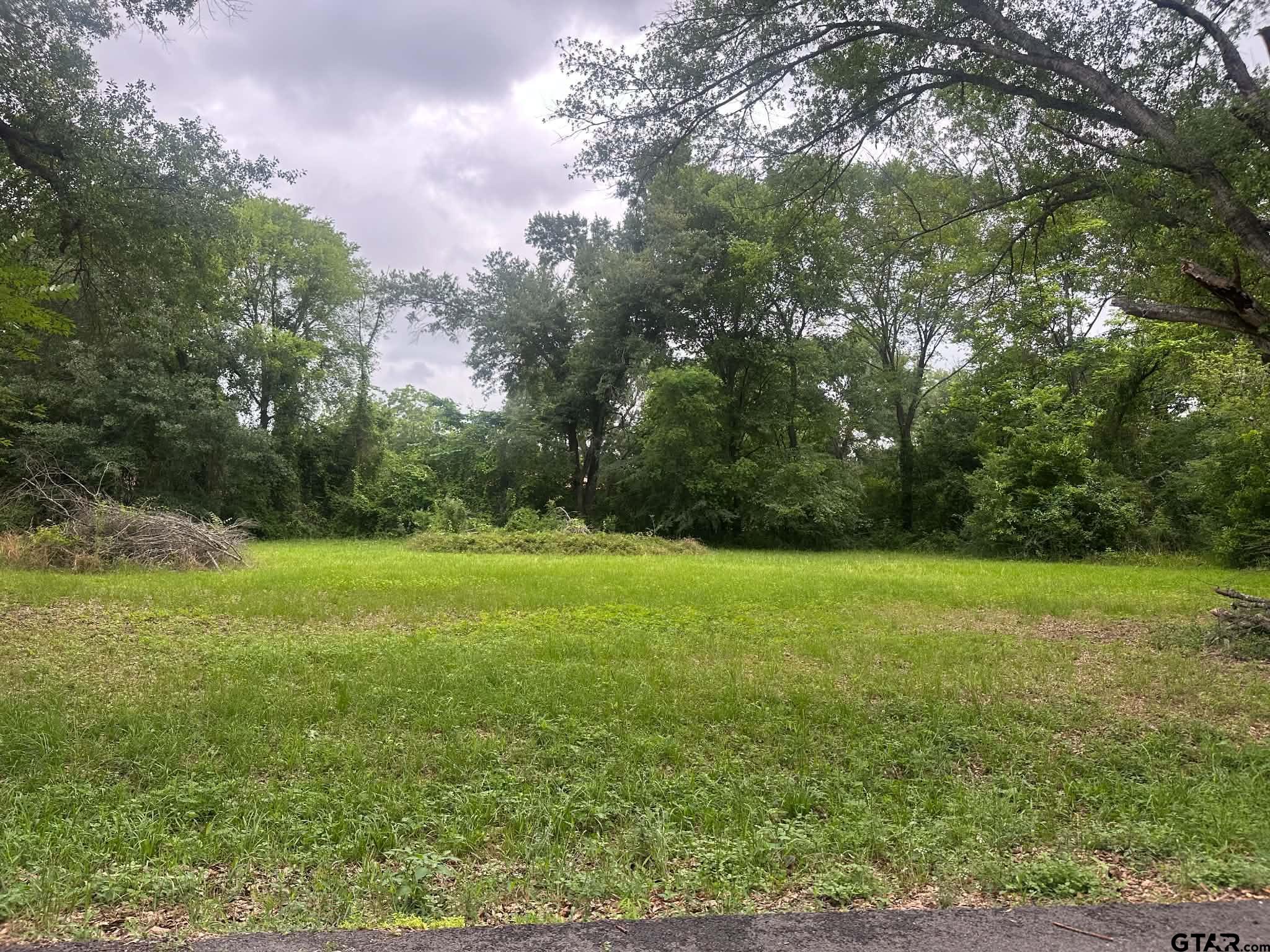 0 Ricky Drive Palestine, TX 75801 - Photo 4 of 6 a view of field with trees in the background