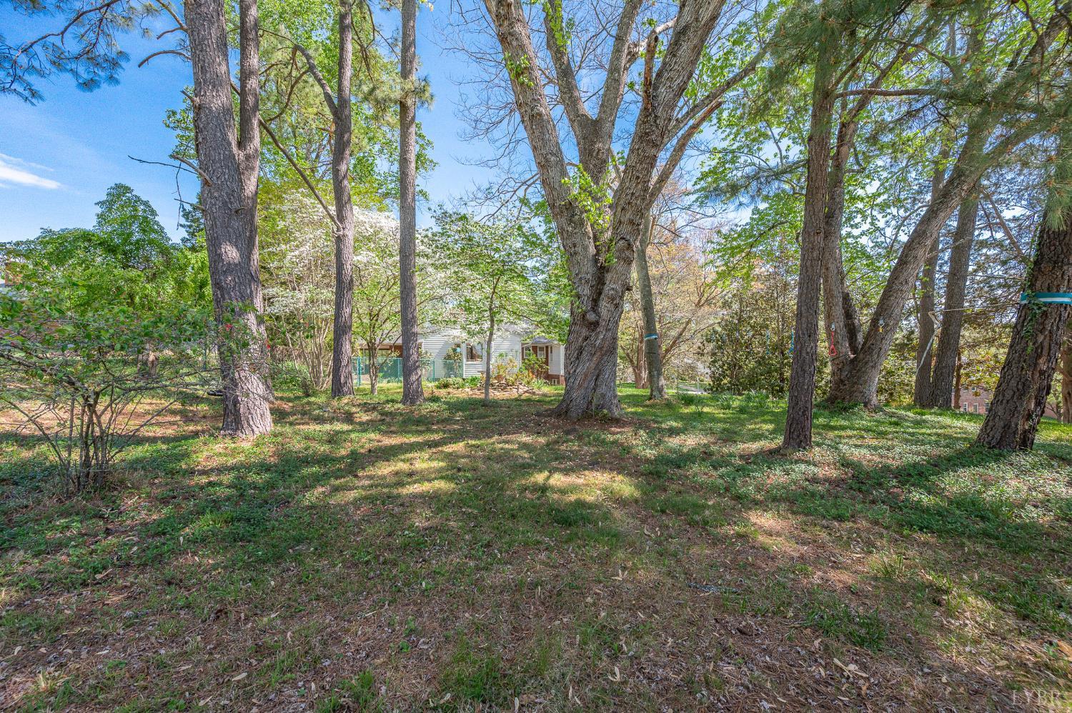 4401 Montgomery Road Lynchburg, VA 24503 - Photo 59 of 71 Gallery Image 59