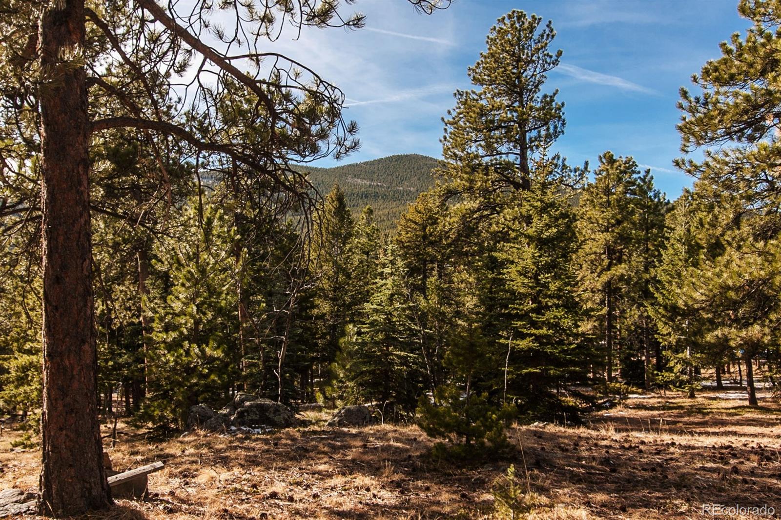 0 Old Squaw Pass Road Evergreen, CO 80439 - Photo 1 of 1 Gallery Image 1