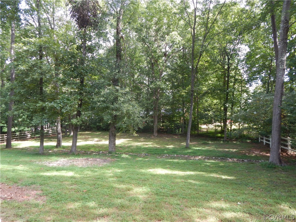 10321 Robbie Road Chesterfield, VA 23832 - Photo 20 of 20 a backyard of a house with lots of green space and trees