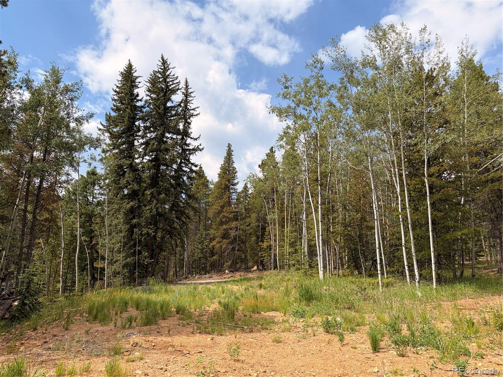 5940 Virginia Canyon Road Central City, CO 80427 - Photo 18 of 28