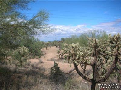 10480 South Sierrita Mountain Road Tucson, AZ 85736 - Photo 6 of 11