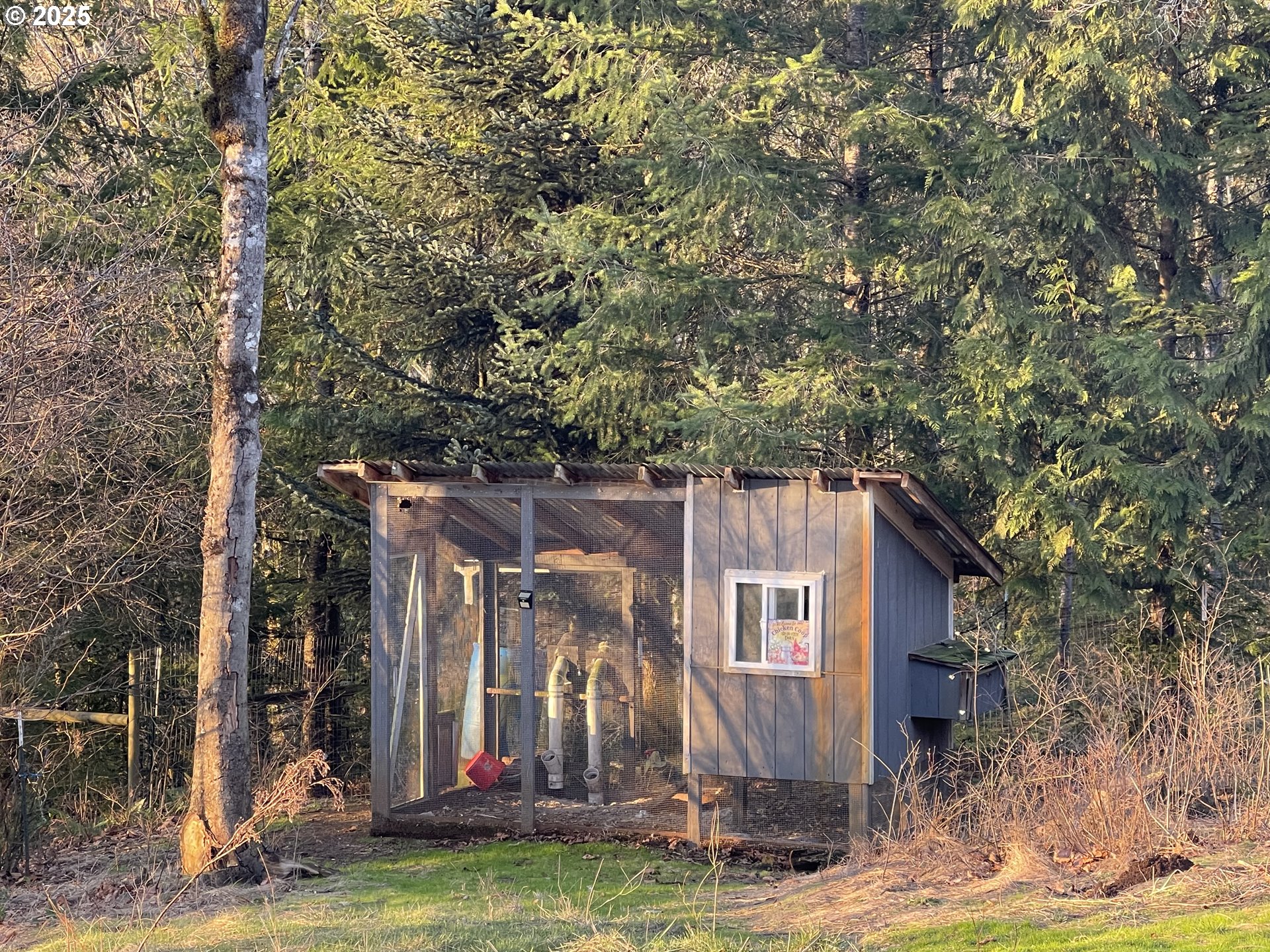 372 Lewis Trail Road Washougal, WA 98671 - Photo 23 of 29 Coop