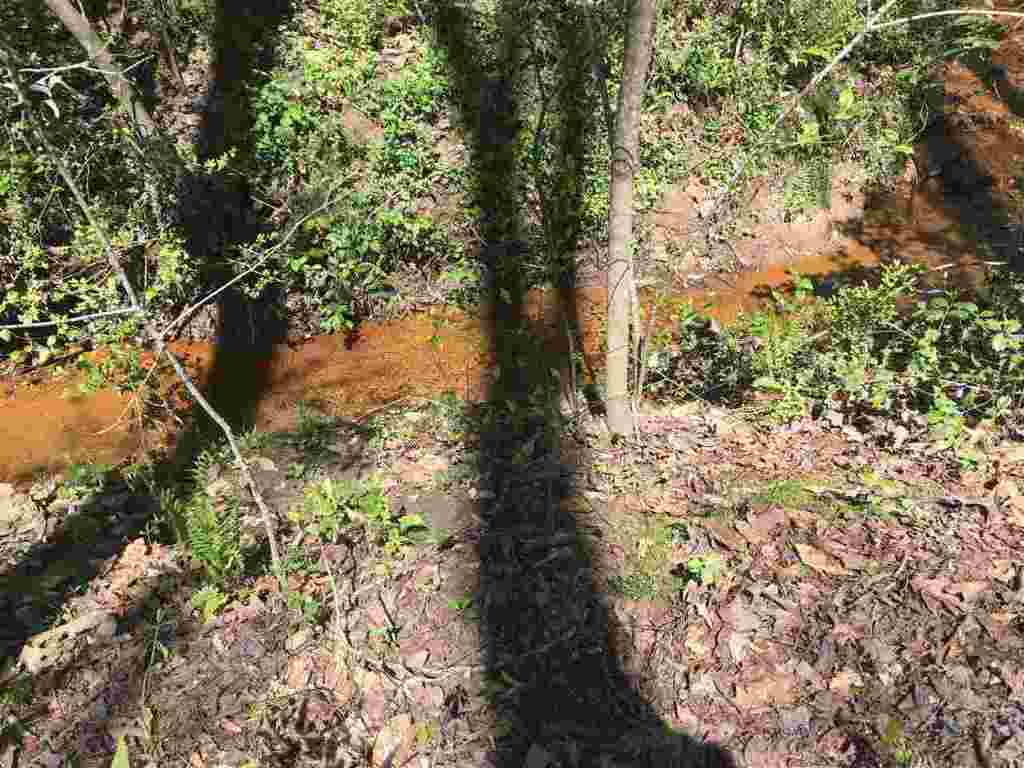 224 Broadmouth Church Road Honea Path, SC 29654 - Photo 16 of 20
