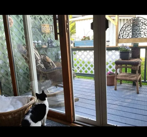 a vase of flowers sitting on a floor