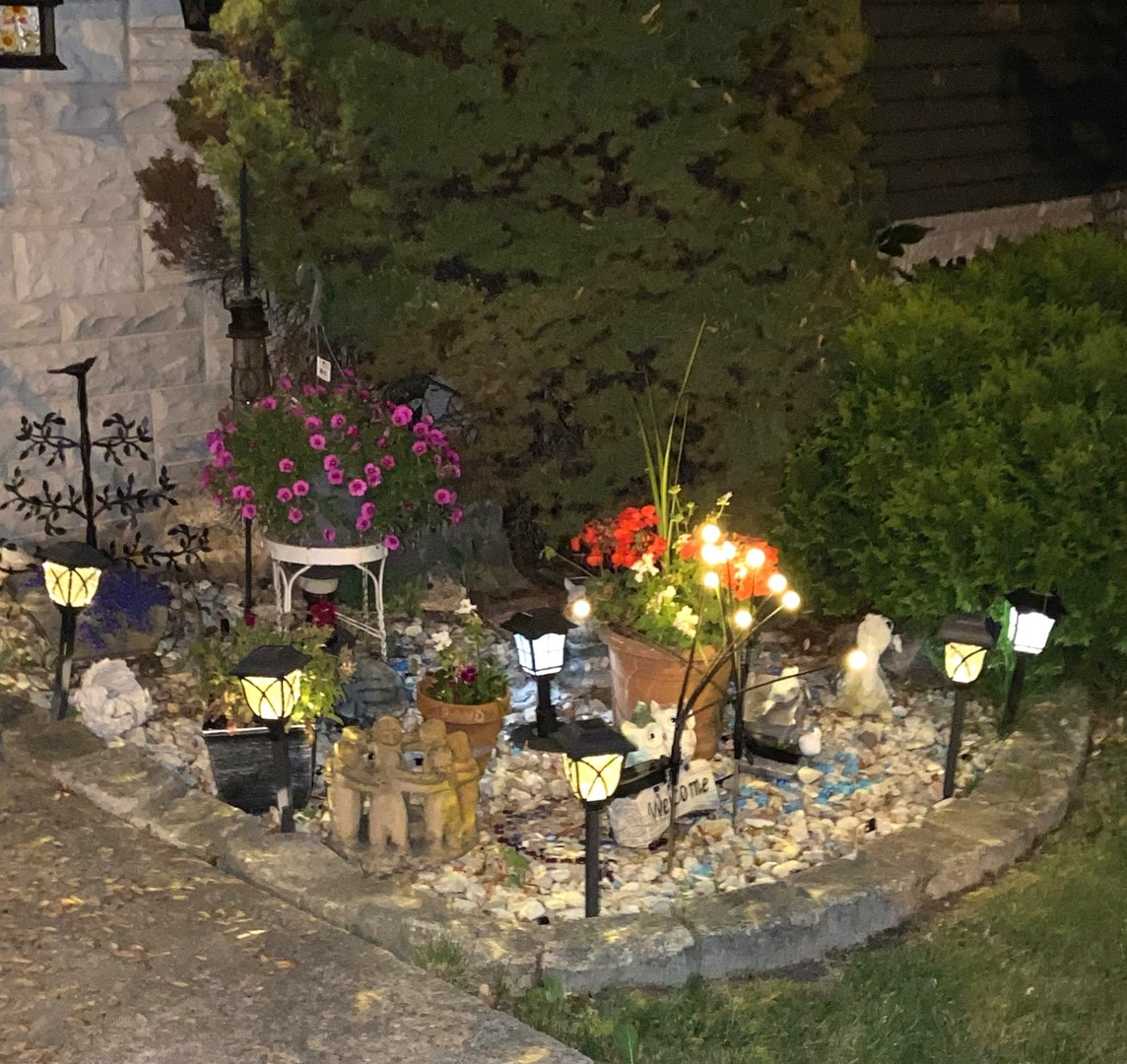 6801 South La Grange Road Hodgkins, IL 60525 - Photo 24 of 26 a view of a flower in a yard