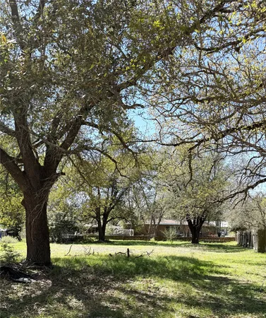 a view of a trees in a yard