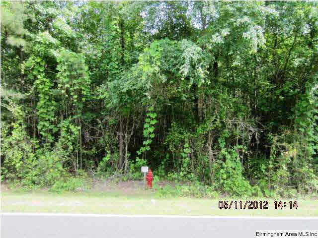 48 Highway, Unit 36 Lineville, AL 36266 - Photo 4 of 7