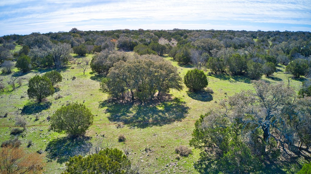 0 Ranch Road 1871, Unit 2 Mason, TX 76856 - Photo 5 of 9