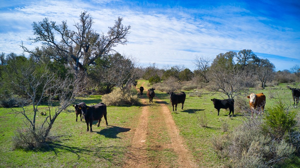 0 Ranch Road 1871, Unit 2 Mason, TX 76856 - Photo 6 of 9