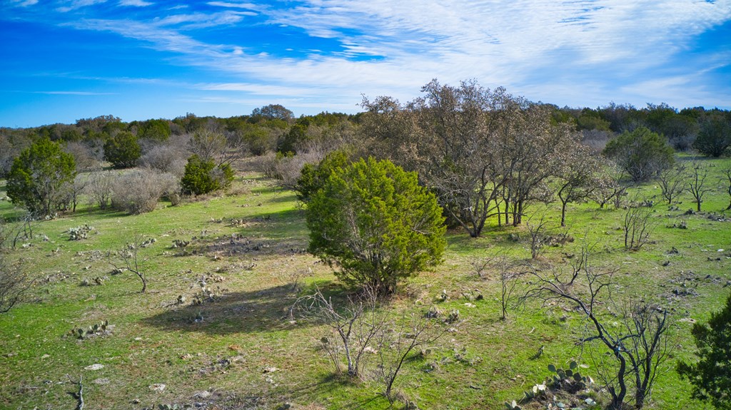 0 Ranch Road 1871, Unit 2 Mason, TX 76856 - Photo 8 of 9