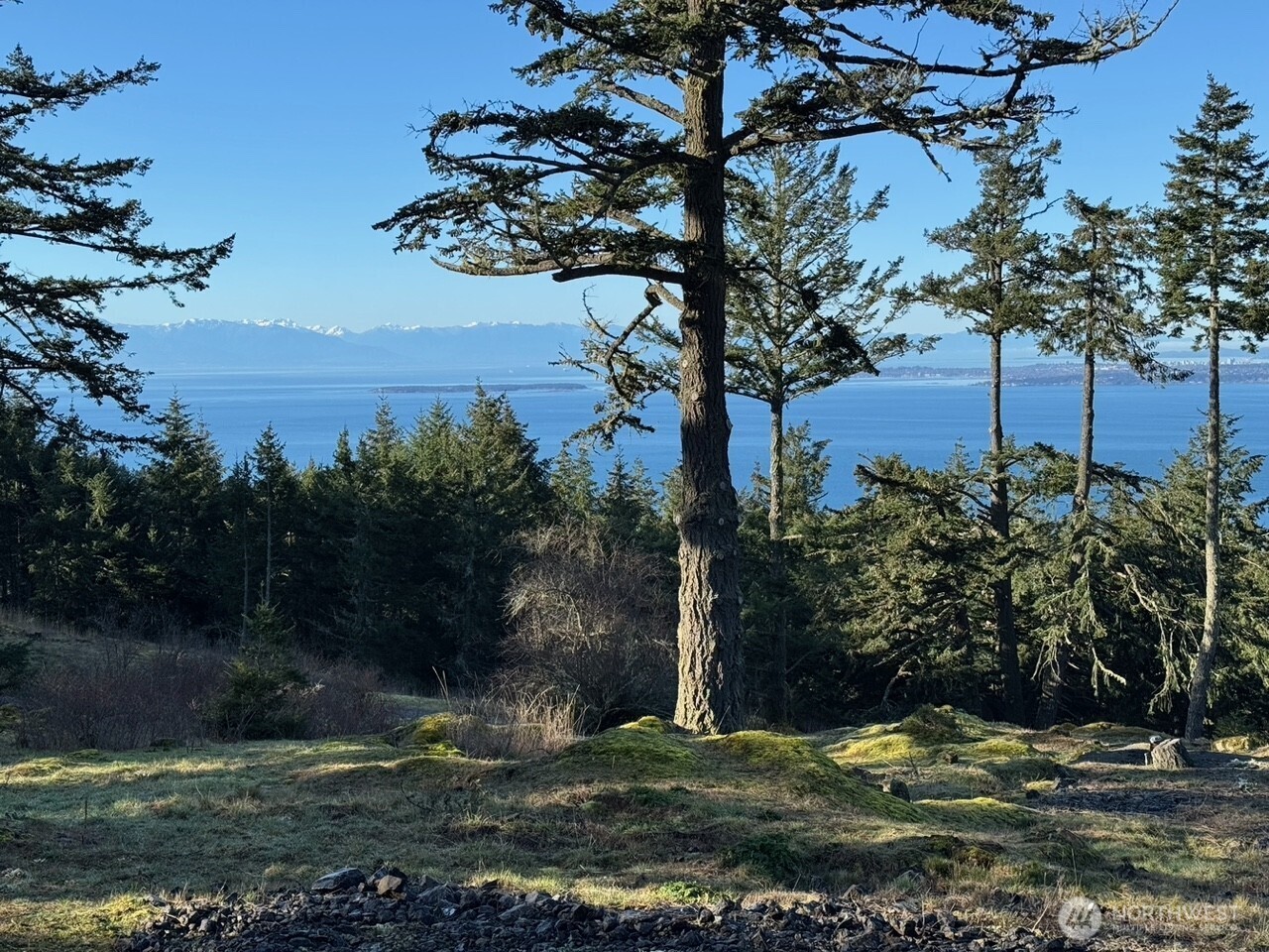 30 Rascal Road Friday Harbor, WA 98250 - Photo 2 of 20