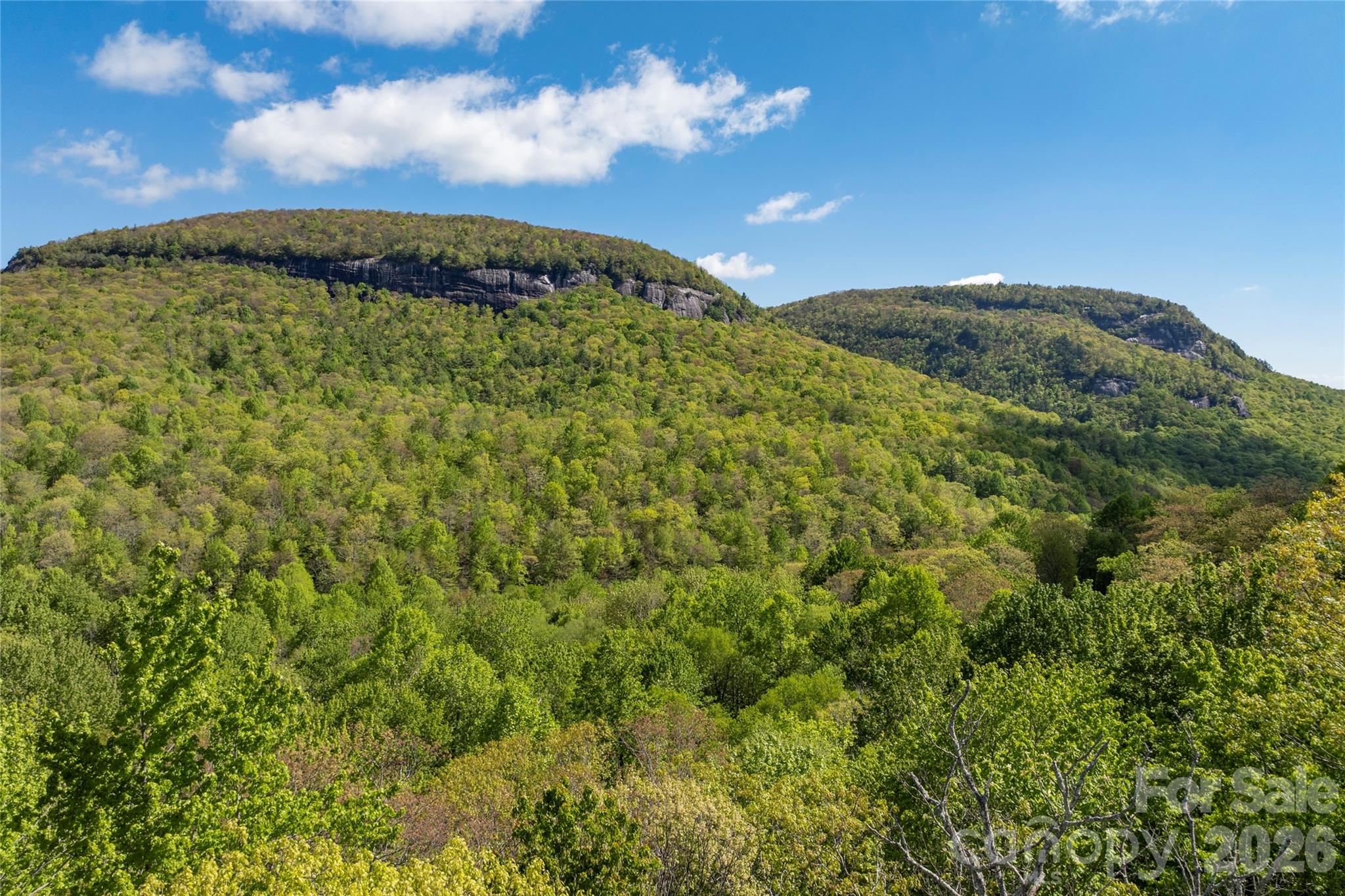 Tbd Long Rdg Road Lake Toxaway, NC 28747 - Photo 1 of 13