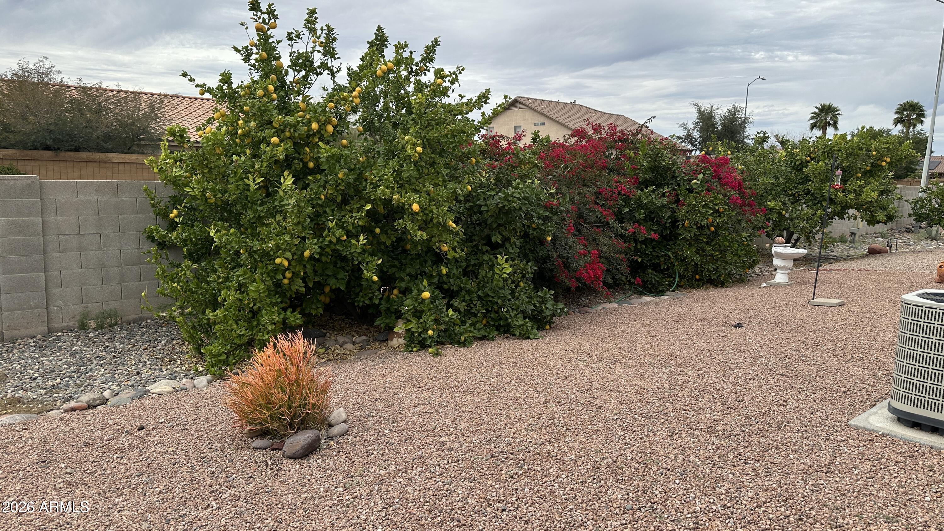 834 South Meridian Road, Unit 174 Apache Junction, AZ 85120 - Photo 22 of 56 a view of a backyard with plants and flowers