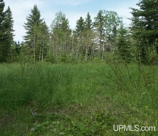 $109,900 | Lot 30 River Country Road, Crystal Falls, MI 49920