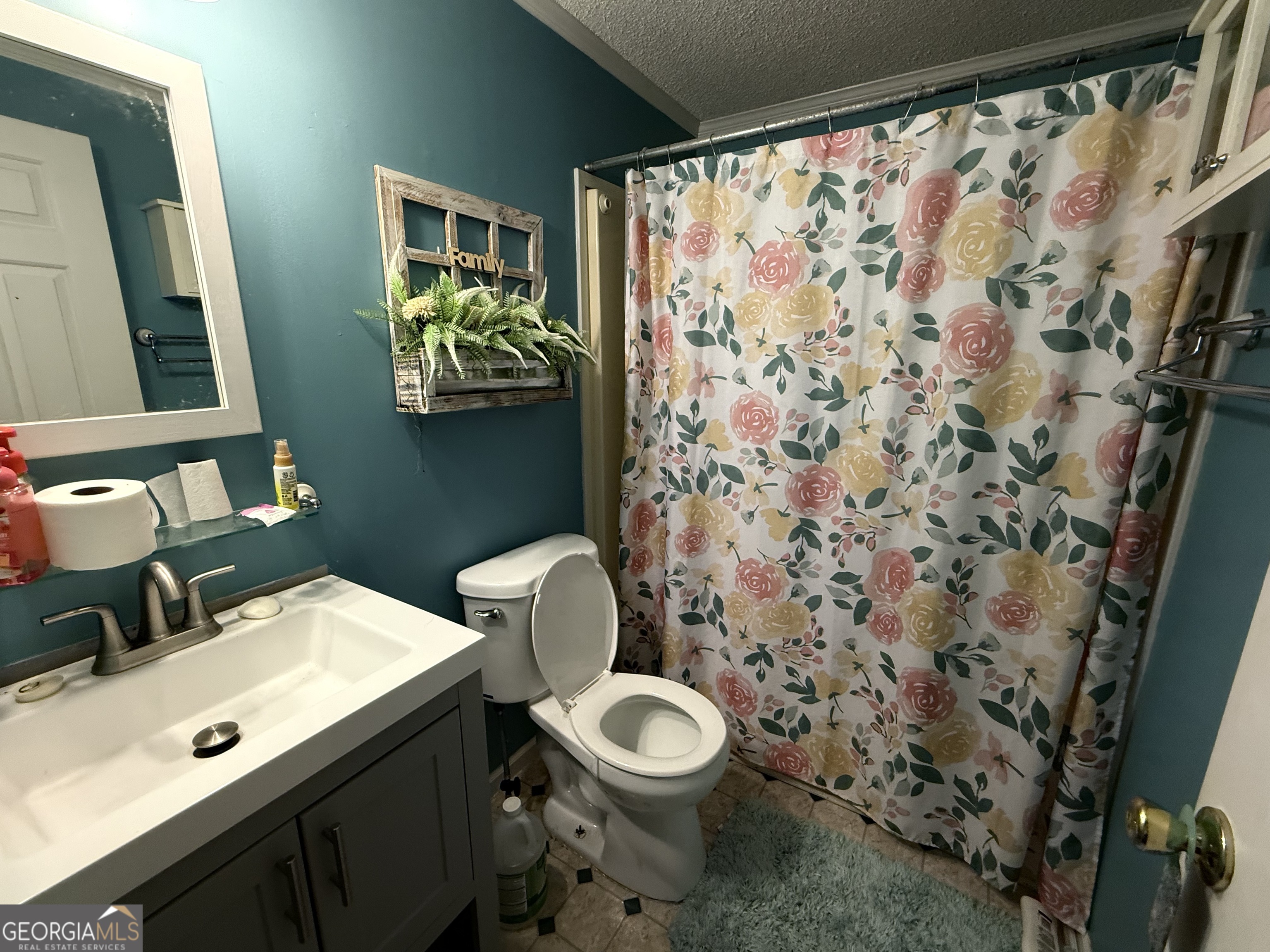 931 Shelor Ferry Road Fair Play, SC 29643 - Photo 16 of 26 a bathroom with a toilet a sink and a mirror