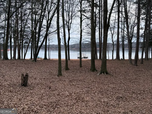 a view of open space with trees