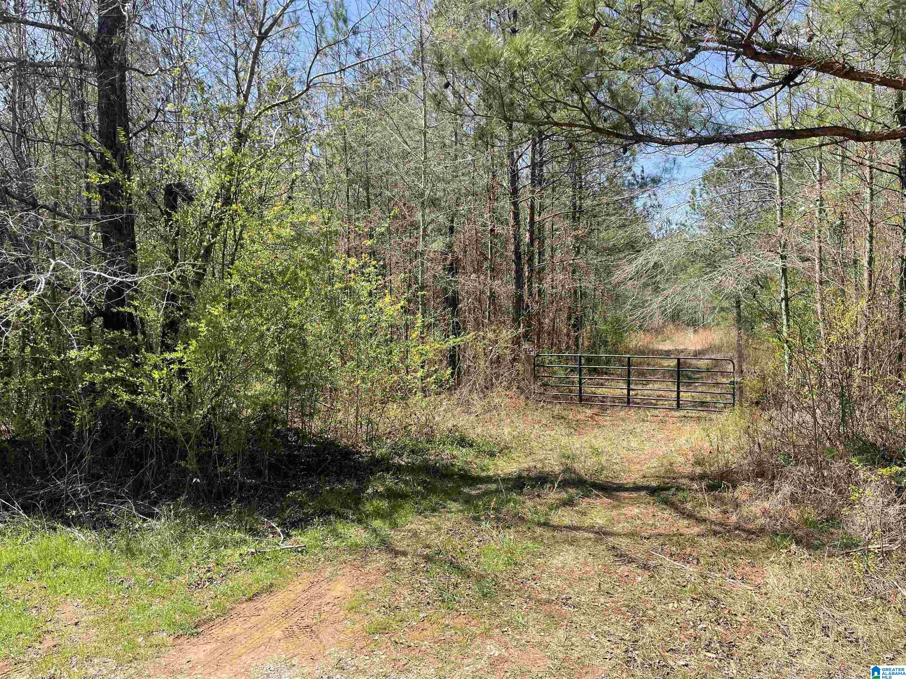 1133 Earl Roberts Road, Unit 1 Anniston, AL 36207 - Photo 1 of 2