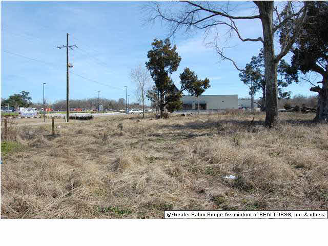 Tbd Duplessis Road Gonzales, LA 70737 - Photo 3 of 21 Gallery Image 3