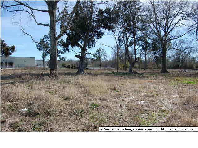 Tbd Duplessis Road Gonzales, LA 70737 - Photo 4 of 21 Gallery Image 4