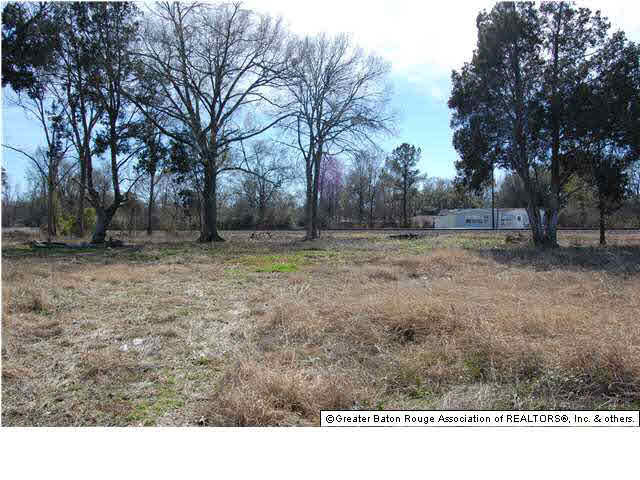 Tbd Duplessis Road Gonzales, LA 70737 - Photo 5 of 21 Gallery Image 5