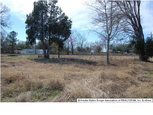Tbd Duplessis Road Gonzales, LA 70737 - Photo 6 of 21 Gallery Image 6