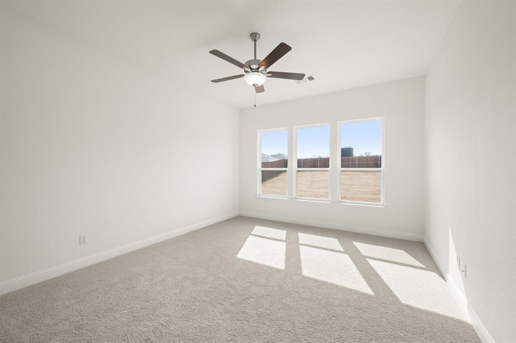 808 Stone Eagle Drive Azle, TX 76020 - Photo 16 of 28 808 Stone Eagle- Primary Suite-1