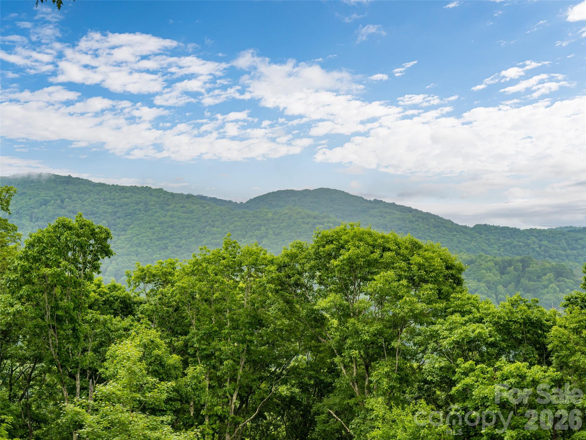 243 Pioneer Ridge Road Canton, NC 28716 - Photo 35 of 47