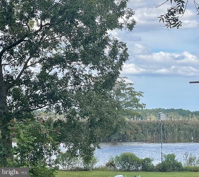 5733 Coventry Parish Road Westover, MD 21871 - Photo 24 of 27 a view of a yard