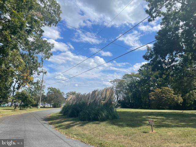 5733 Coventry Parish Road Westover, MD 21871 - Photo 4 of 27 a view of a field with an trees