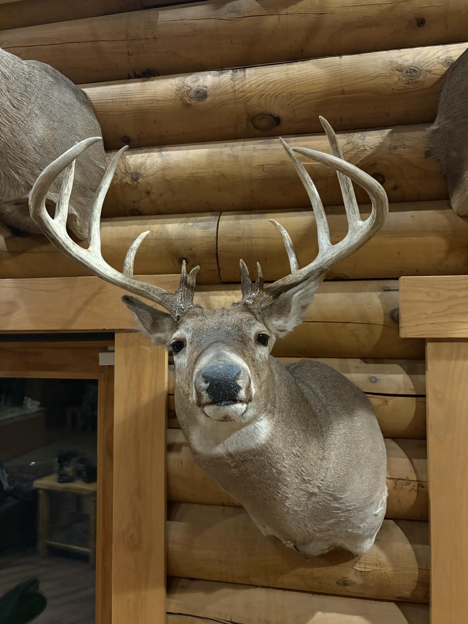 4795 County Rd C Wyoming, WI 53588 - Photo 18 of 82 7876