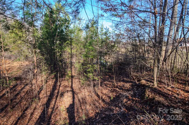 a view of a backyard with trees