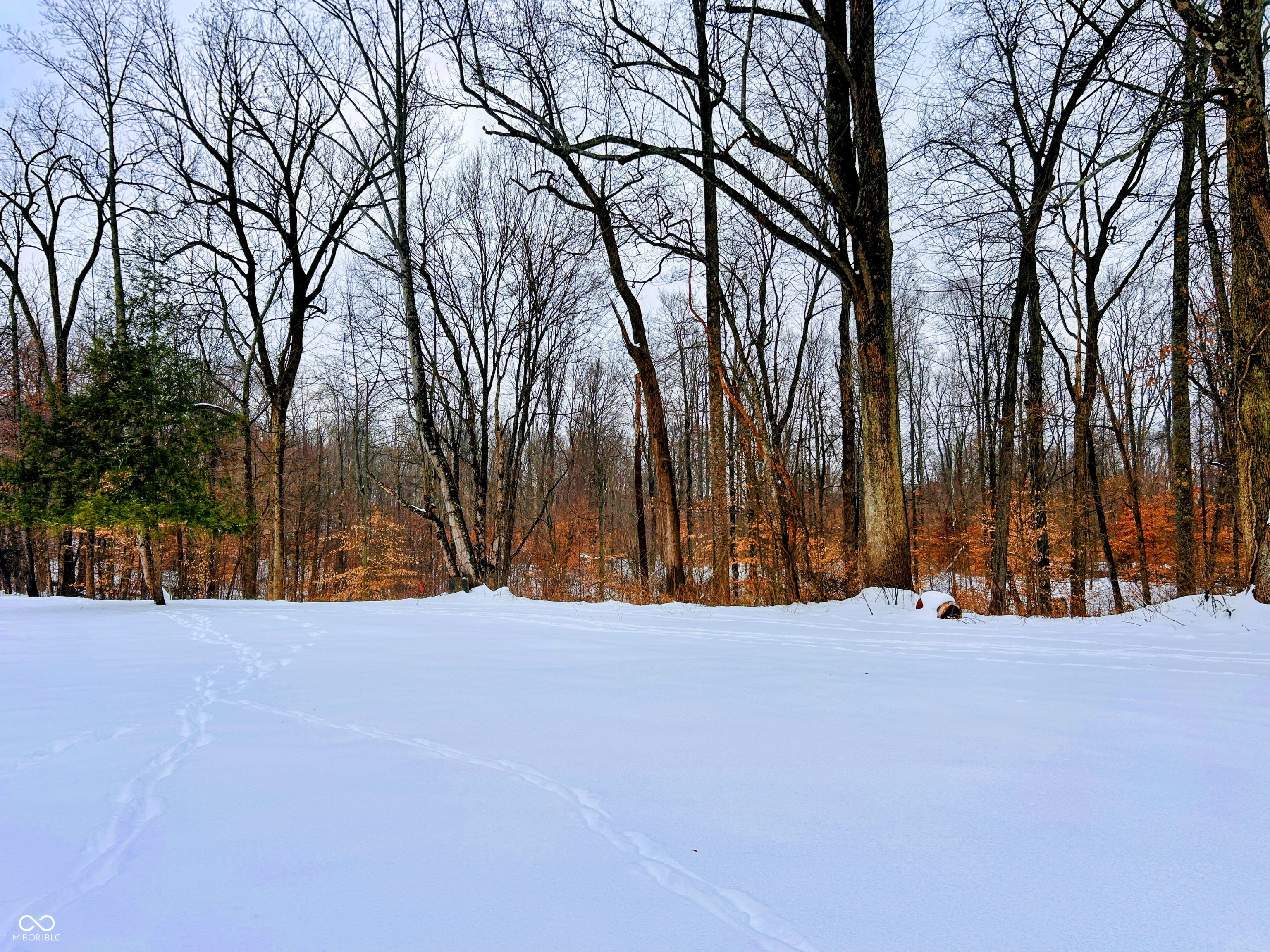 2495 Lenvoil Road Martinsville, IN 46151 - Photo 18 of 93