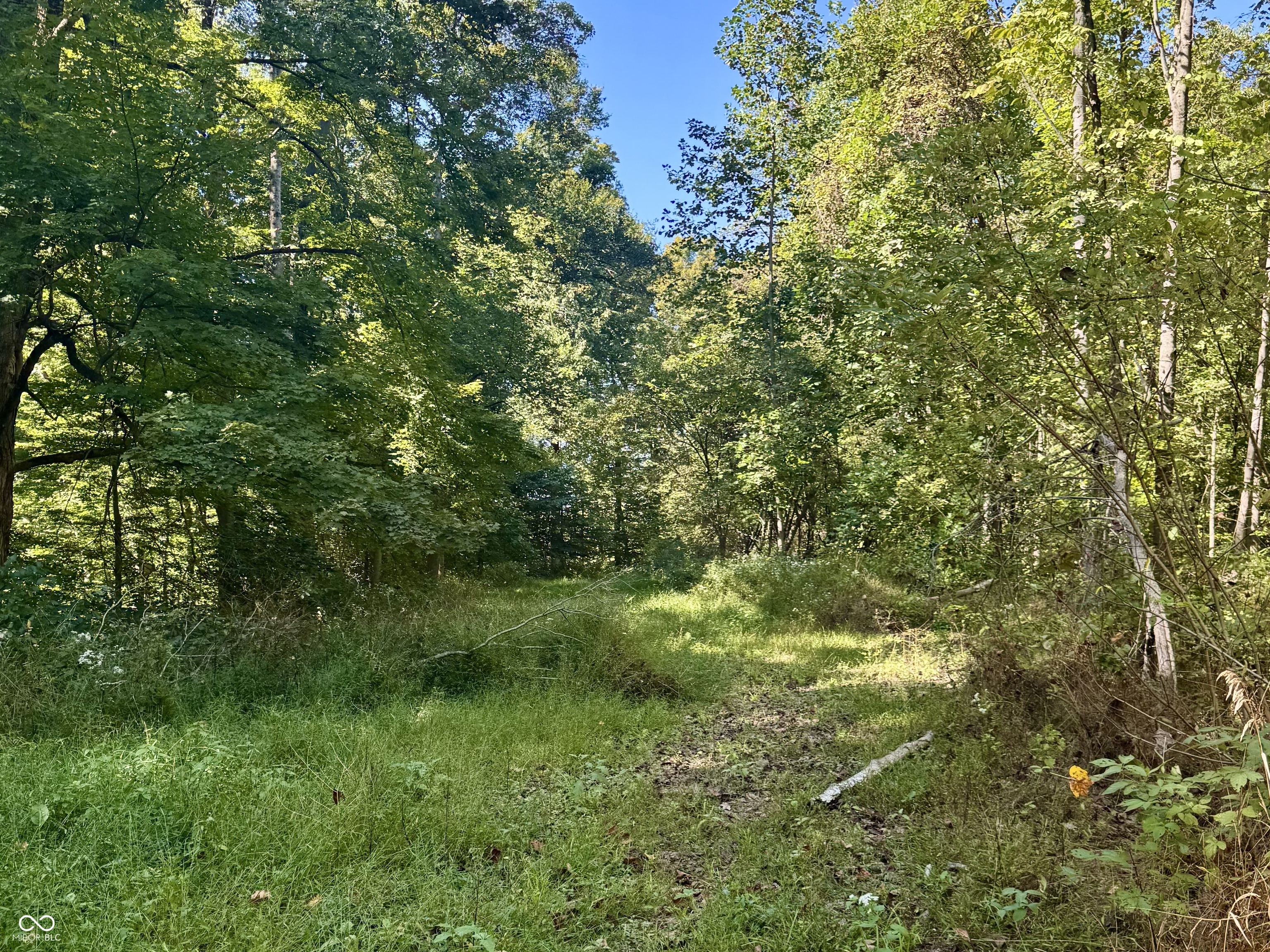 2495 Lenvoil Road Martinsville, IN 46151 - Photo 58 of 93