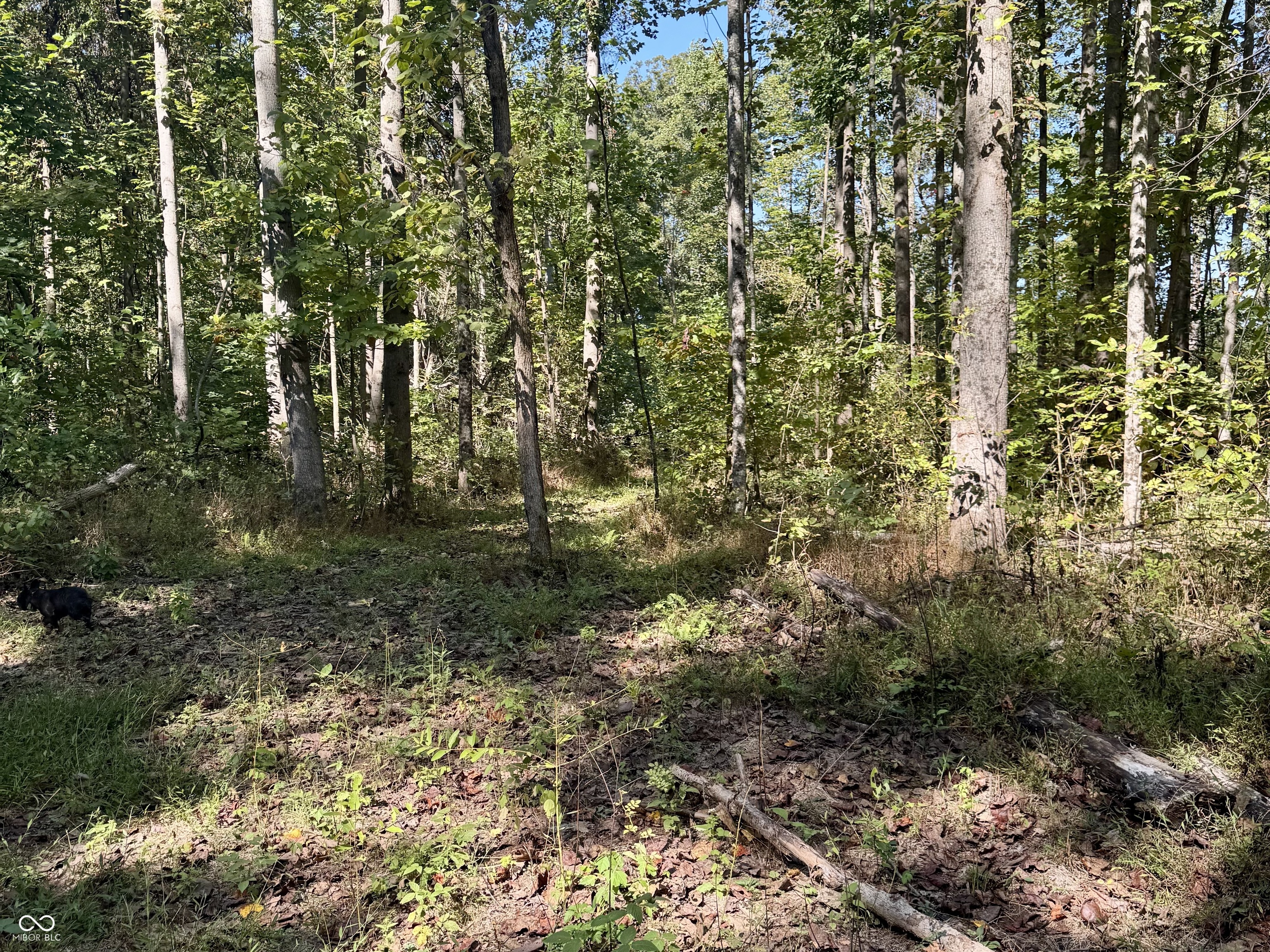 2495 Lenvoil Road Martinsville, IN 46151 - Photo 59 of 93