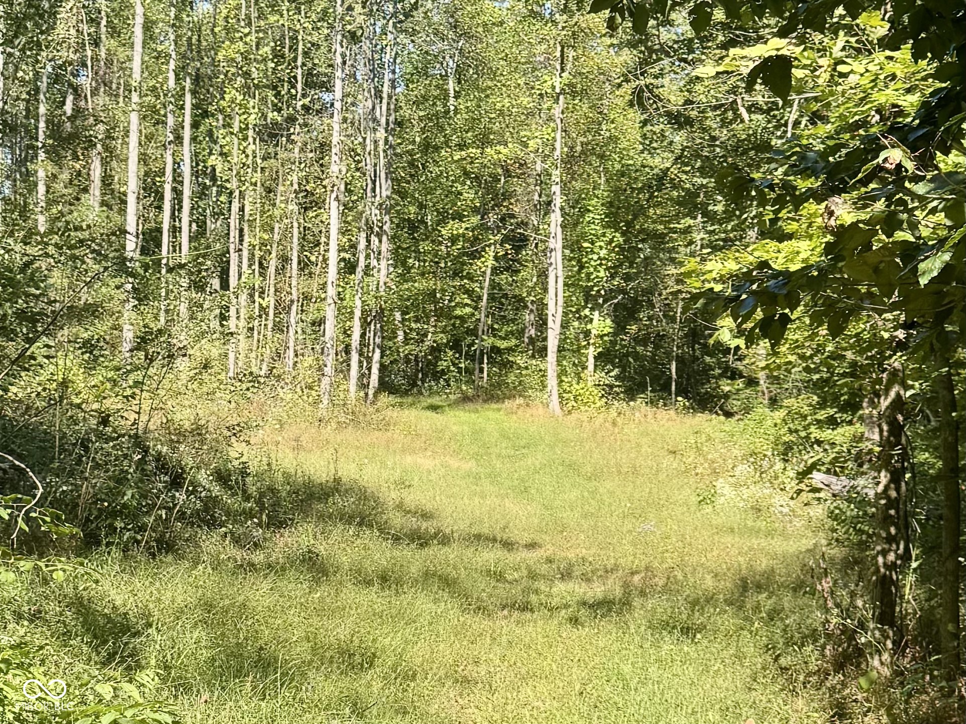 2495 Lenvoil Road Martinsville, IN 46151 - Photo 60 of 93