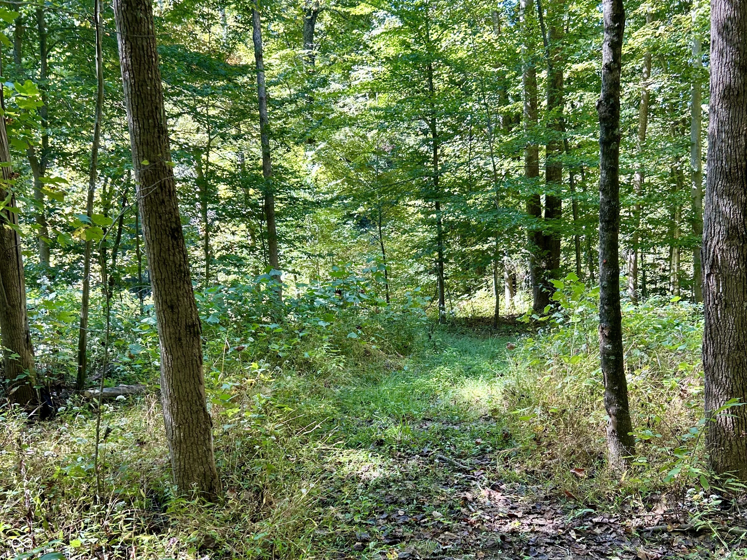 2495 Lenvoil Road Martinsville, IN 46151 - Photo 62 of 93