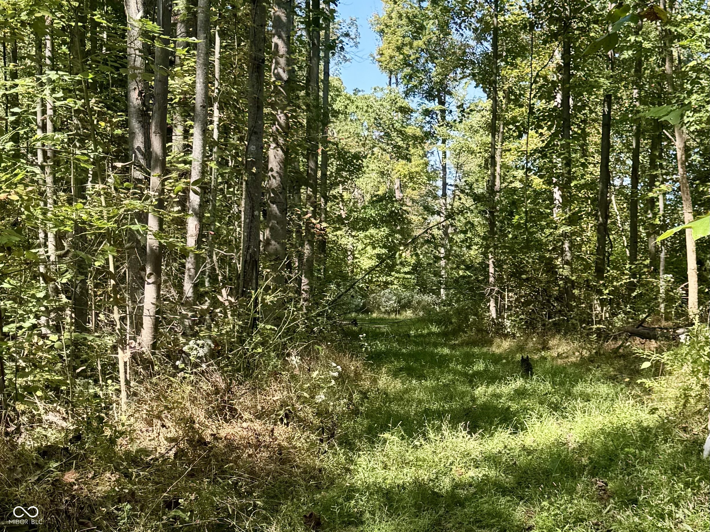 2495 Lenvoil Road Martinsville, IN 46151 - Photo 71 of 93