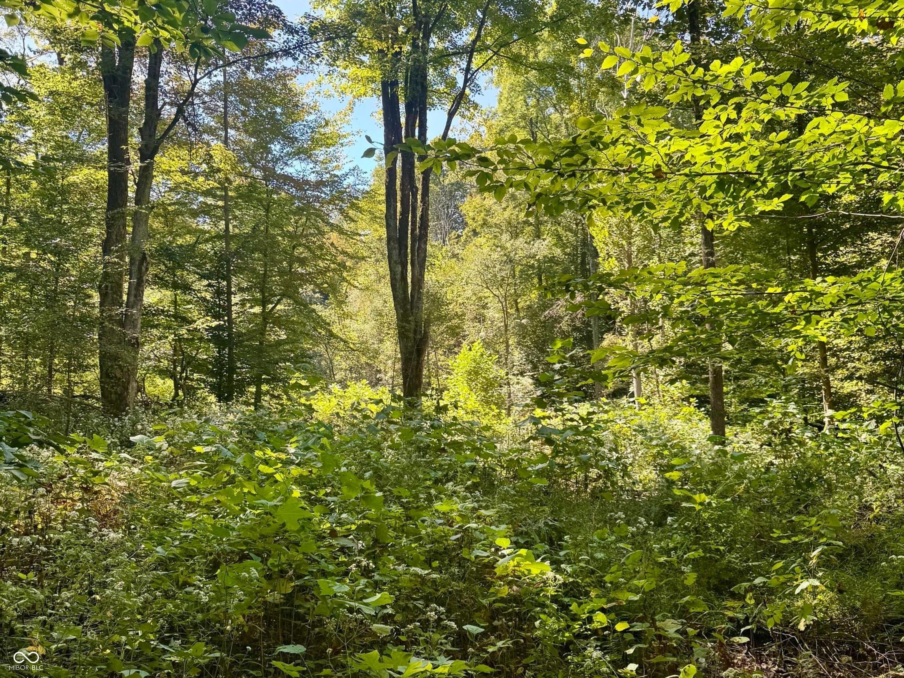 2495 Lenvoil Road Martinsville, IN 46151 - Photo 74 of 93