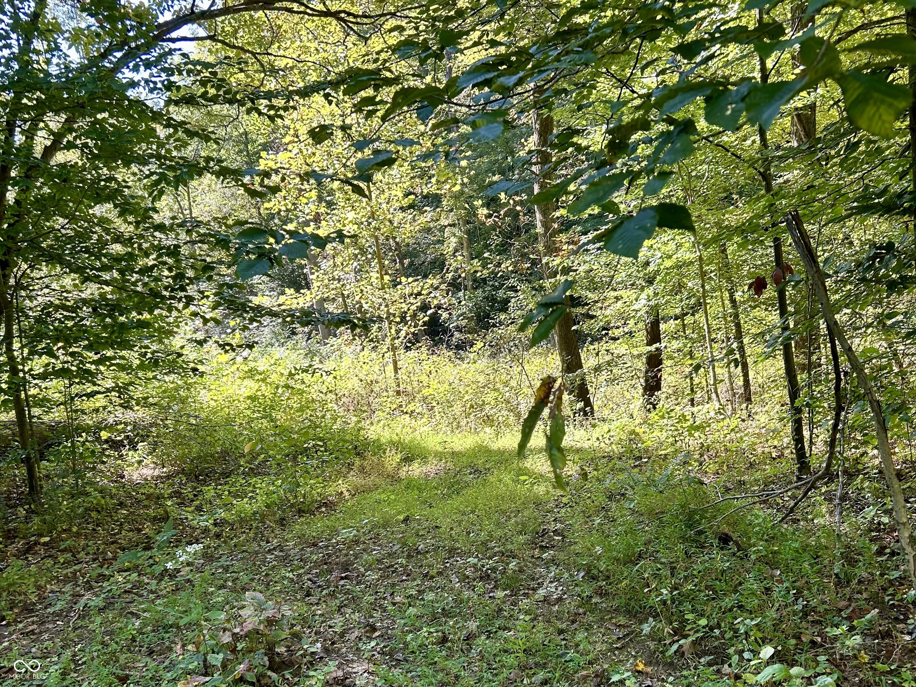 2495 Lenvoil Road Martinsville, IN 46151 - Photo 75 of 93