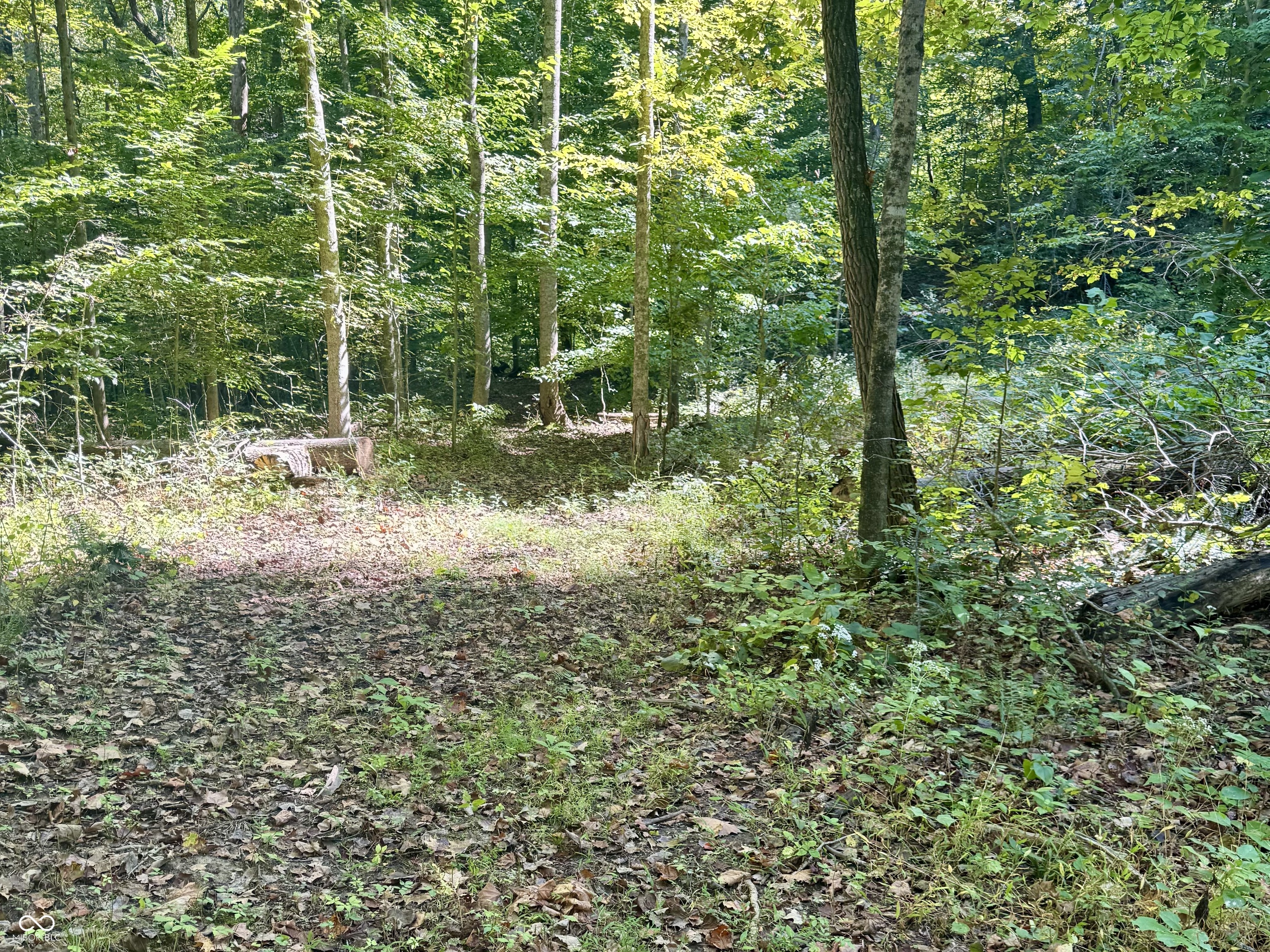 2495 Lenvoil Road Martinsville, IN 46151 - Photo 76 of 93