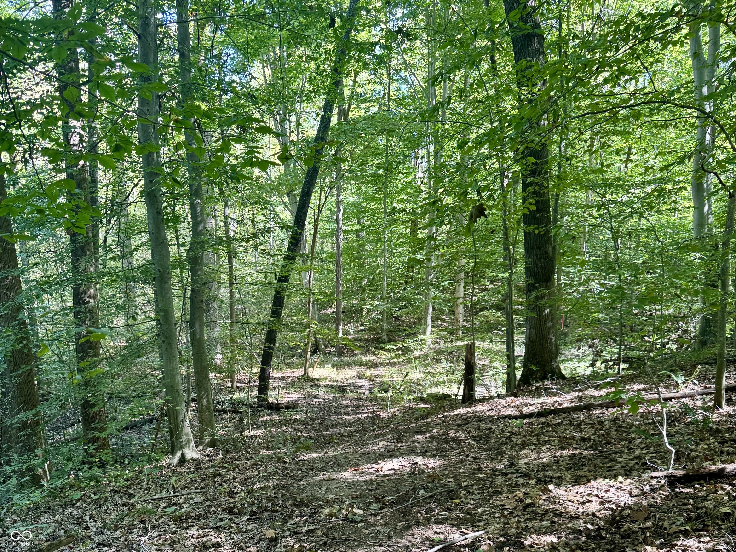 2495 Lenvoil Road Martinsville, IN 46151 - Photo 77 of 93