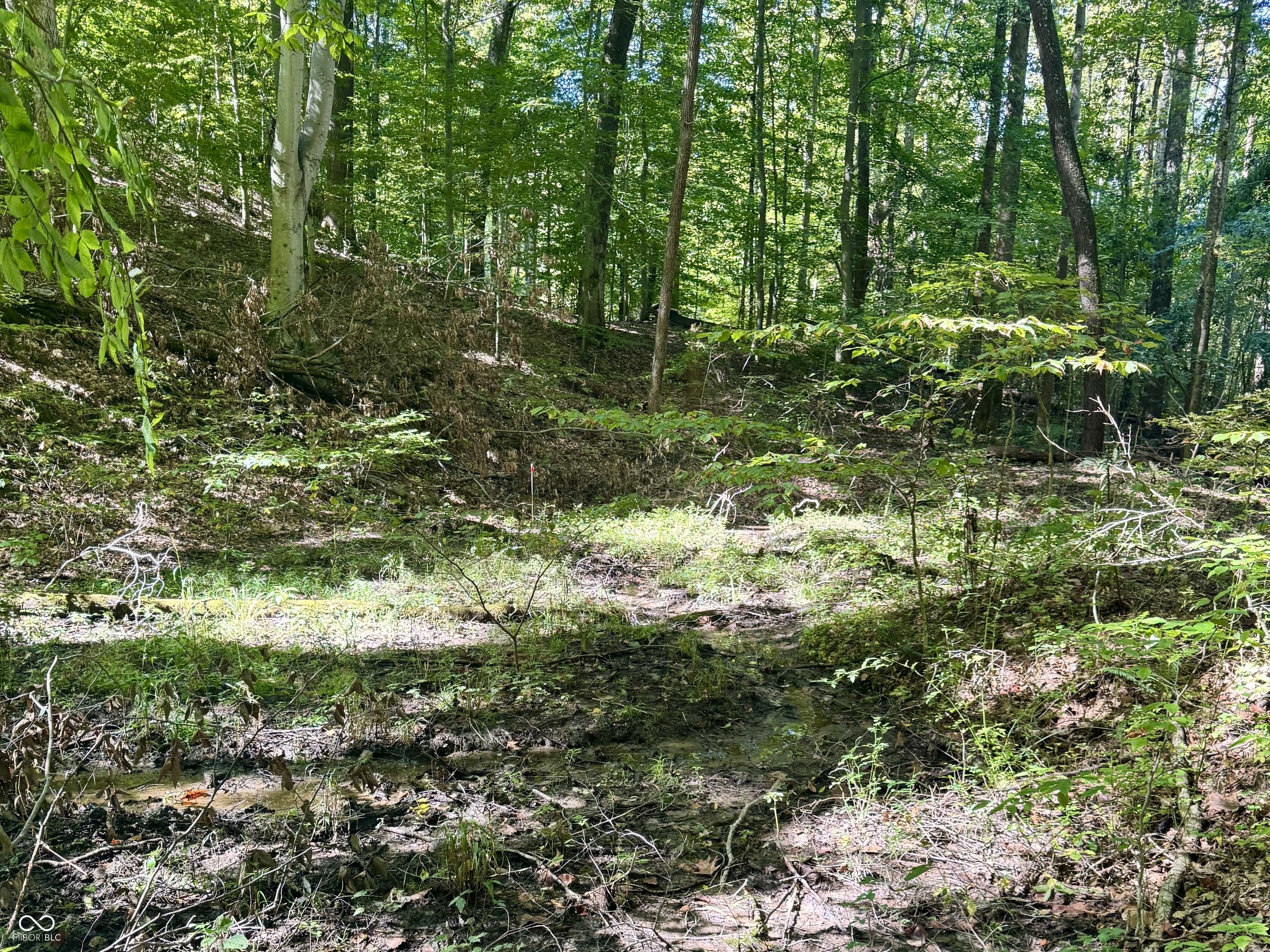 2495 Lenvoil Road Martinsville, IN 46151 - Photo 78 of 93