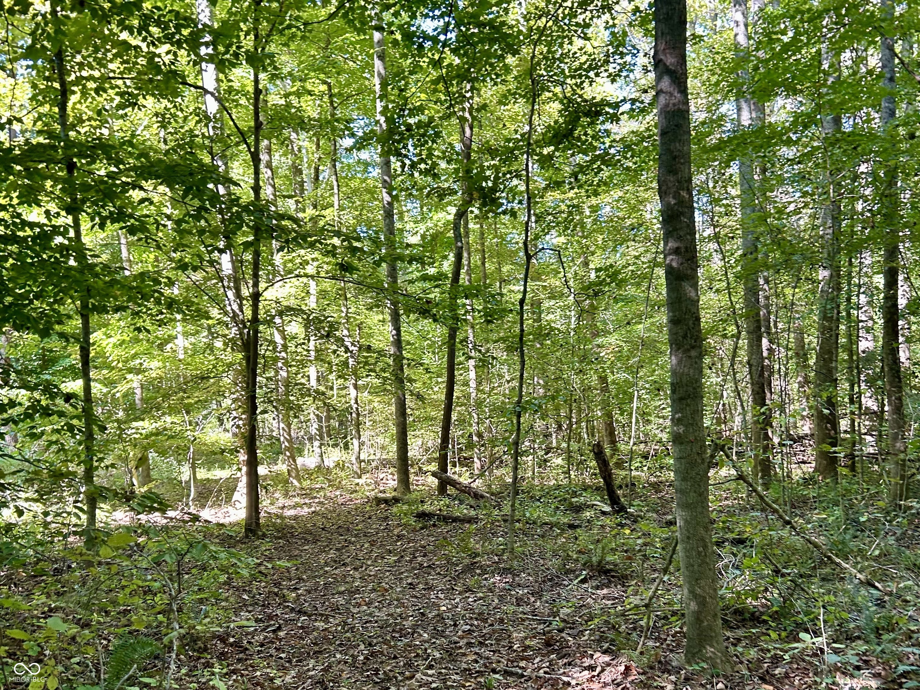 2495 Lenvoil Road Martinsville, IN 46151 - Photo 79 of 93