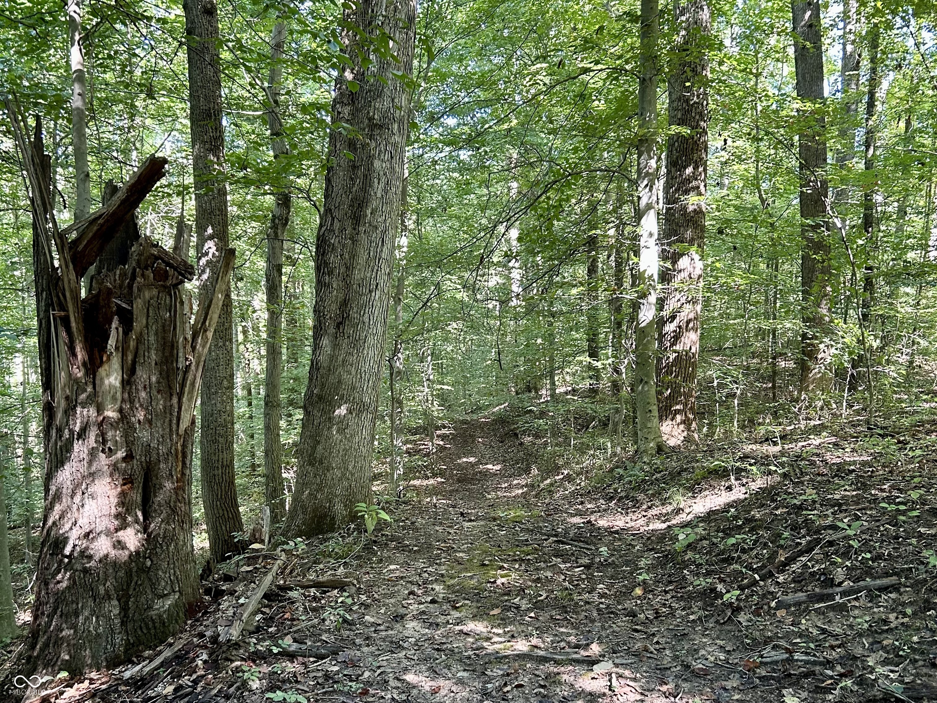 2495 Lenvoil Road Martinsville, IN 46151 - Photo 80 of 93