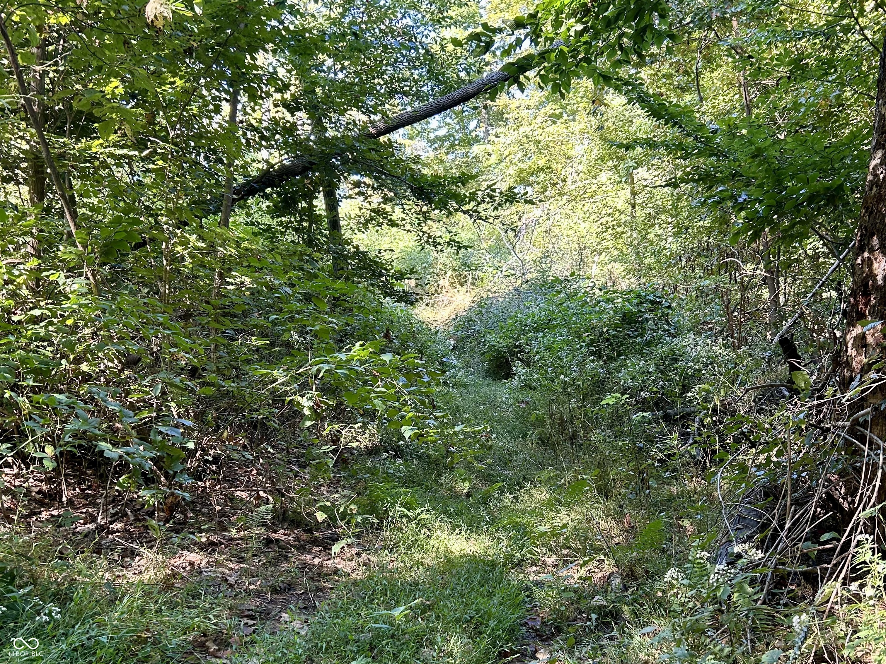 2495 Lenvoil Road Martinsville, IN 46151 - Photo 82 of 93